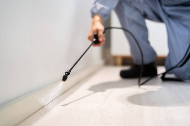 Licensed Termite Control service in Laurel Hill, VA - Nex Pest Control