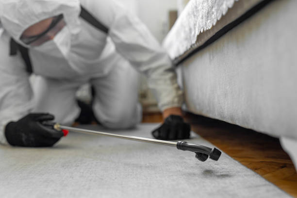 Professional Termite Control technician working in Laurel Hill, VA