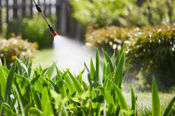 24/7 Emergency Termite Control experts in Laurel Hill, VA