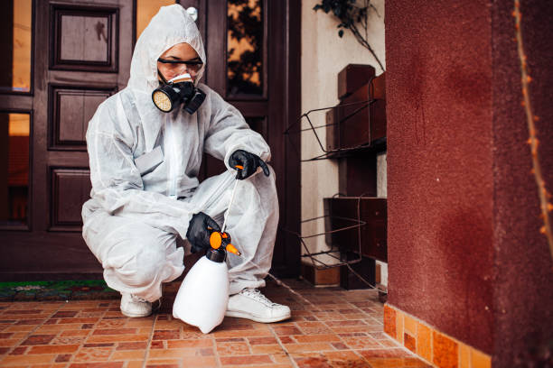 Reliable Termite Control contractor in Laurel Hill, VA by Nex Pest Control