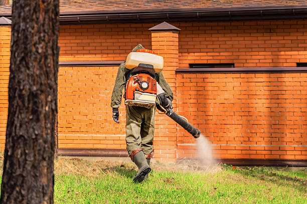 Top rated local Termite Control specialists in Laurel Hill, VA